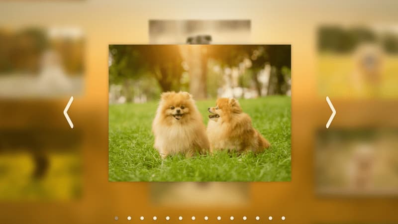 Puppy Days Screenshot